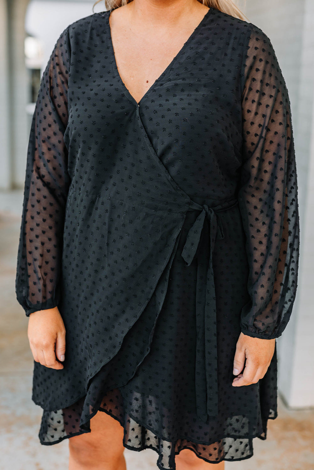 Plus Size Swiss Dot V Neck Wrap Long Sleeve Dress