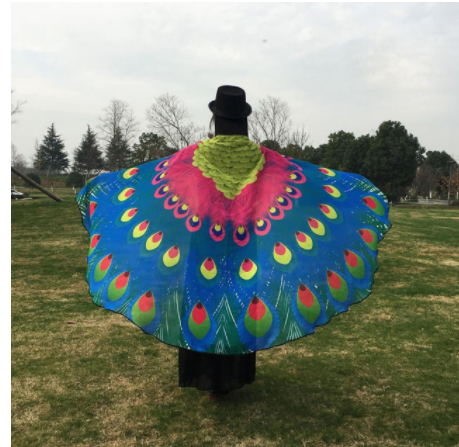 Peacock Feather Halloween Cape Chiffon Peacock Cape