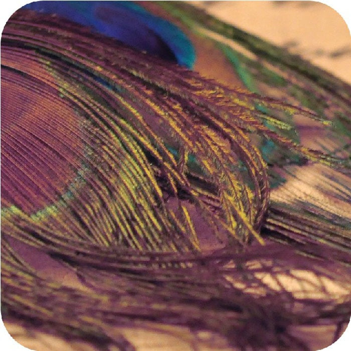 New Fashion Jewelry Earrings For Women Boho Charming Earring 2021 Simple Peacock Feather Vintage Luxury Long Dangle Earrings Cut