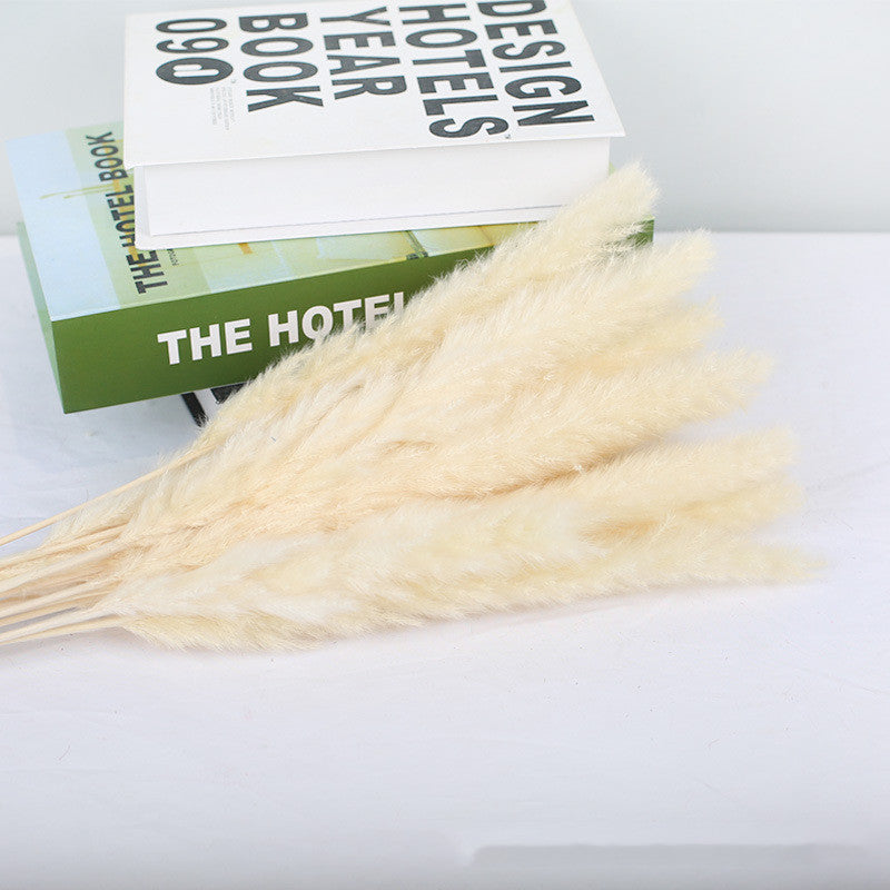 Boho Horsetail Whisk Barley Rabbit Tail Grass Small Dried Reed Flower Bouquet