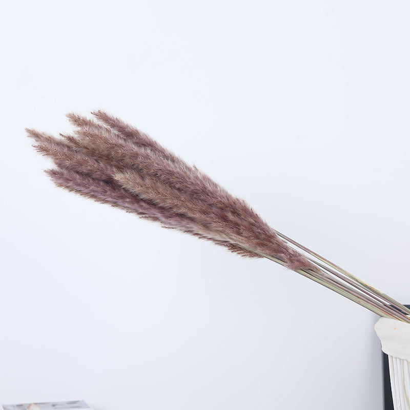 Boho Horsetail Whisk Barley Rabbit Tail Grass Small Dried Reed Flower Bouquet
