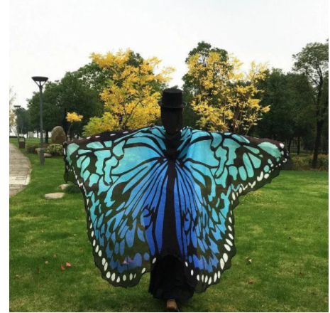 Peacock Feather Halloween Cape Chiffon Peacock Cape