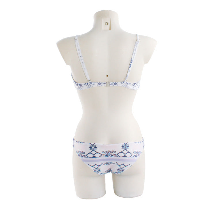 Ethnic style printed bikini