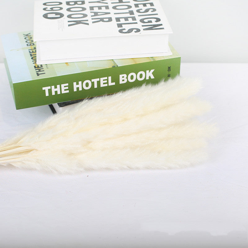 Boho Horsetail Whisk Barley Rabbit Tail Grass Small Dried Reed Flower Bouquet