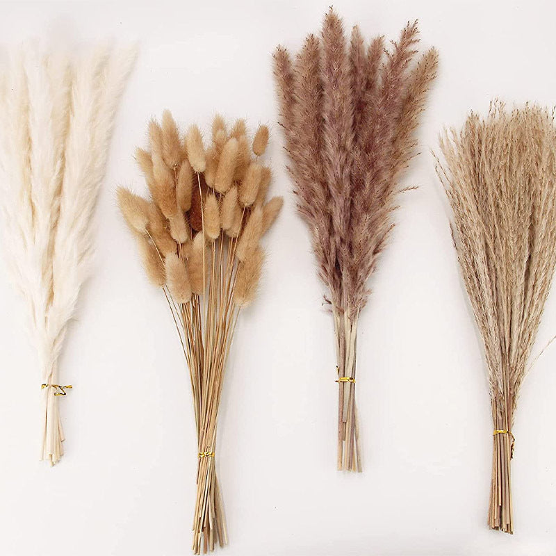 Boho Horsetail Whisk Barley Rabbit Tail Grass Small Dried Reed Flower Bouquet