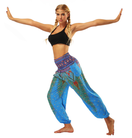 Digital Printed Lantern Pants Loosely Thin Elastic Waist Harem Pants