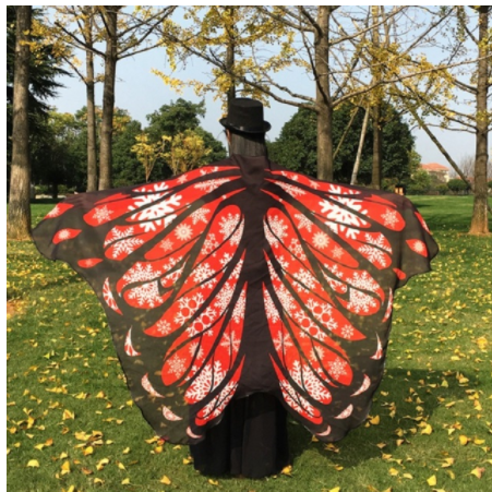 Peacock Feather Halloween Cape Chiffon Peacock Cape