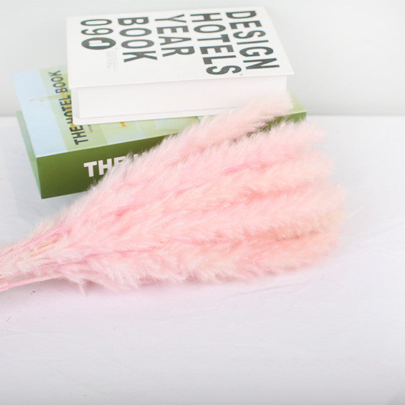 Boho Horsetail Whisk Barley Rabbit Tail Grass Small Dried Reed Flower Bouquet